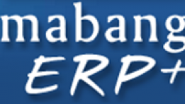 mabang ERP